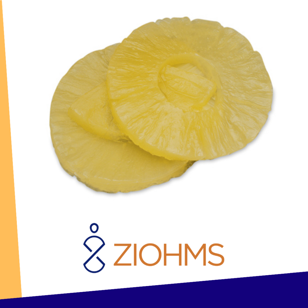 REPLICA DE ALIMENTO PIÑA EN RODAJAS NASCO W06633 - Ziohms Equipos ...