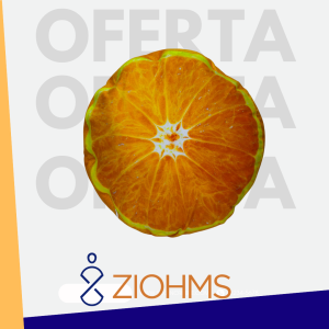 COJÍN DECORATIVO DE NARANJA