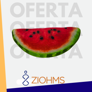 COJÍN DECORATIVO DE SANDÍA