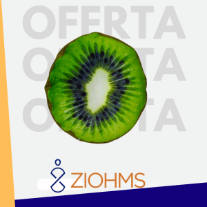 COJÍN DECORATIVO DE KIWI