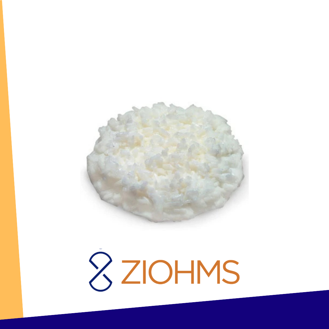 KIT DE RÉPLICAS DE CARBOHIDRATOS MARCA NASCO - Imagen 4